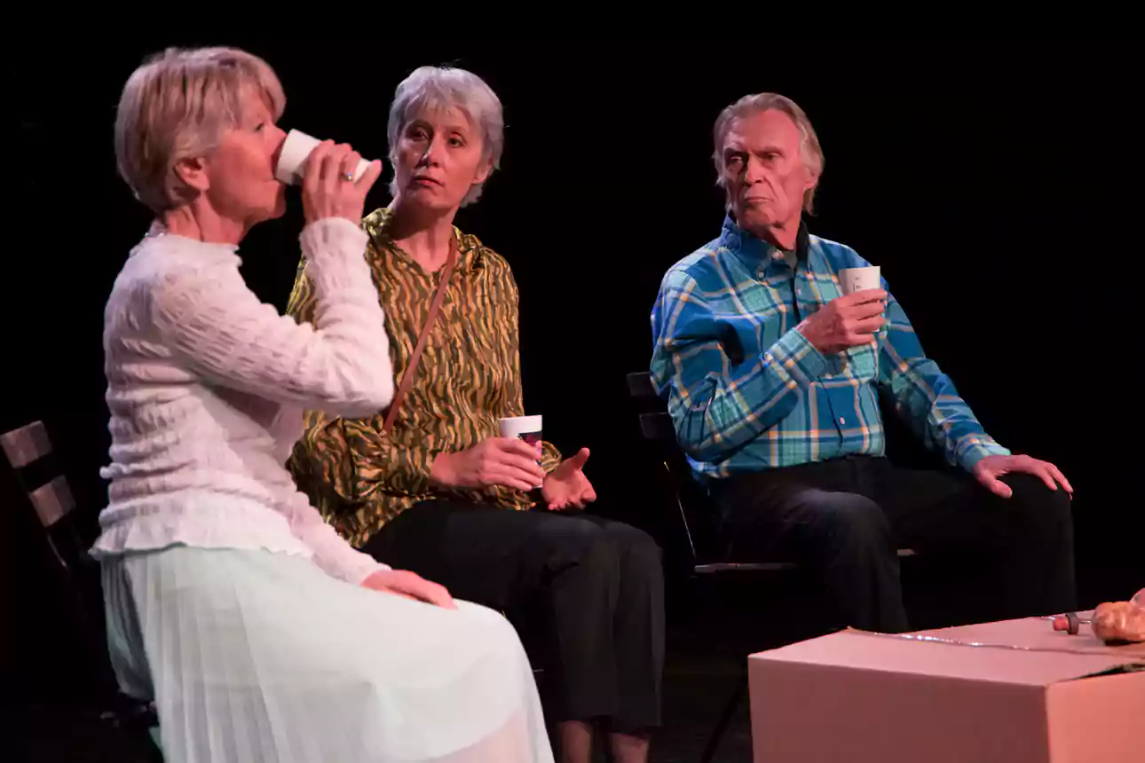 Photo pièce de théâtre : Parce que c'est mon choix